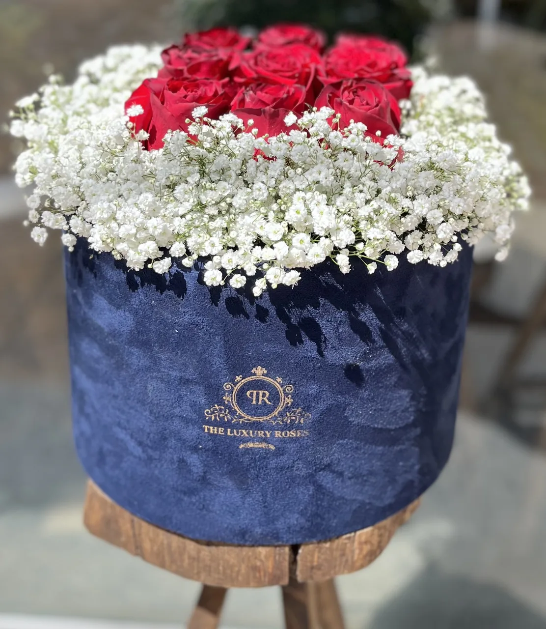 گلفروشی رژمیا میلاد آبیاری - تصویر 2