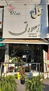 رز صورتی