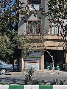 کشمش سبز خدادادی