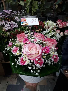 گل سرای کافه گل