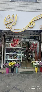 گلکده الینا