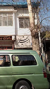 گیاهان دارویی امید بخدا