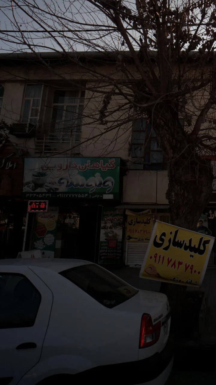 گیاهان دارویی