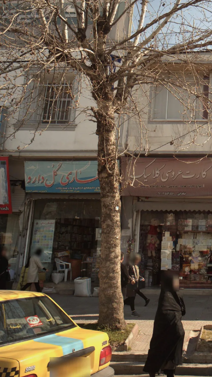 عطاری گل دارو - تصویر 2