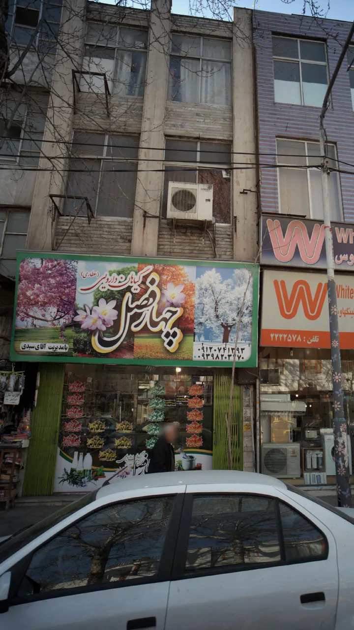 گیاهان دارویی چهار فصل - تصویر 3