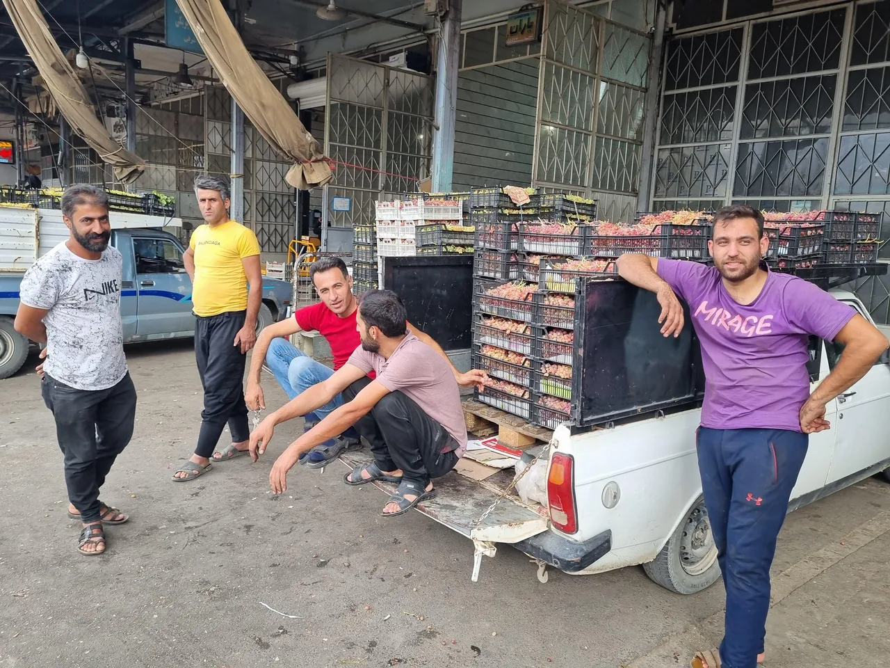 بارفروشی یاران - تصویر 2
