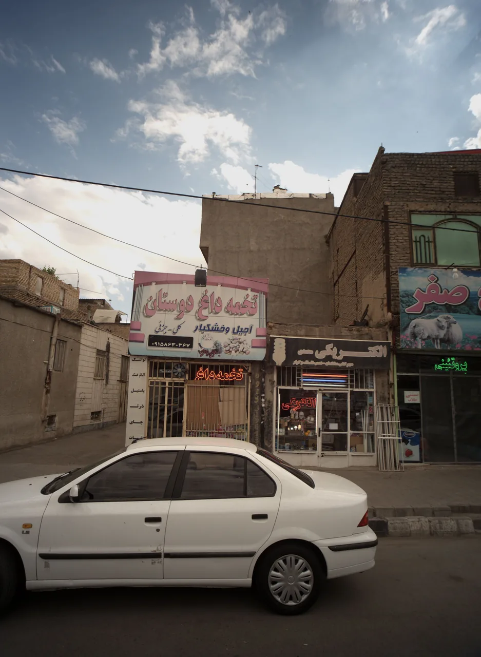 تخمه داغ دوستان