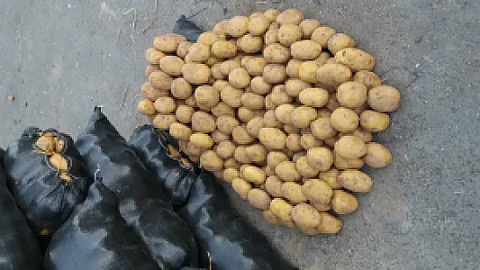 بارفروشی سجاد خسروی