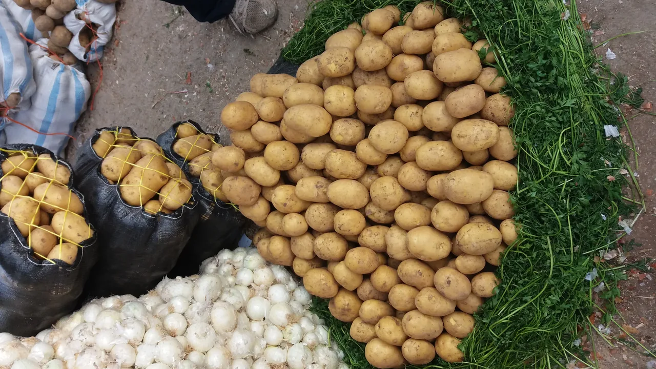 بارفروشی سجاد خسروی - تصویر 2
