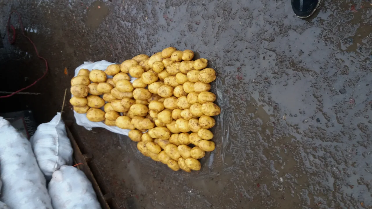 بارفروشی سجاد خسروی - تصویر 4