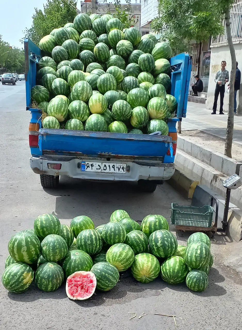 سوپر میوه اکبری - تصویر 2