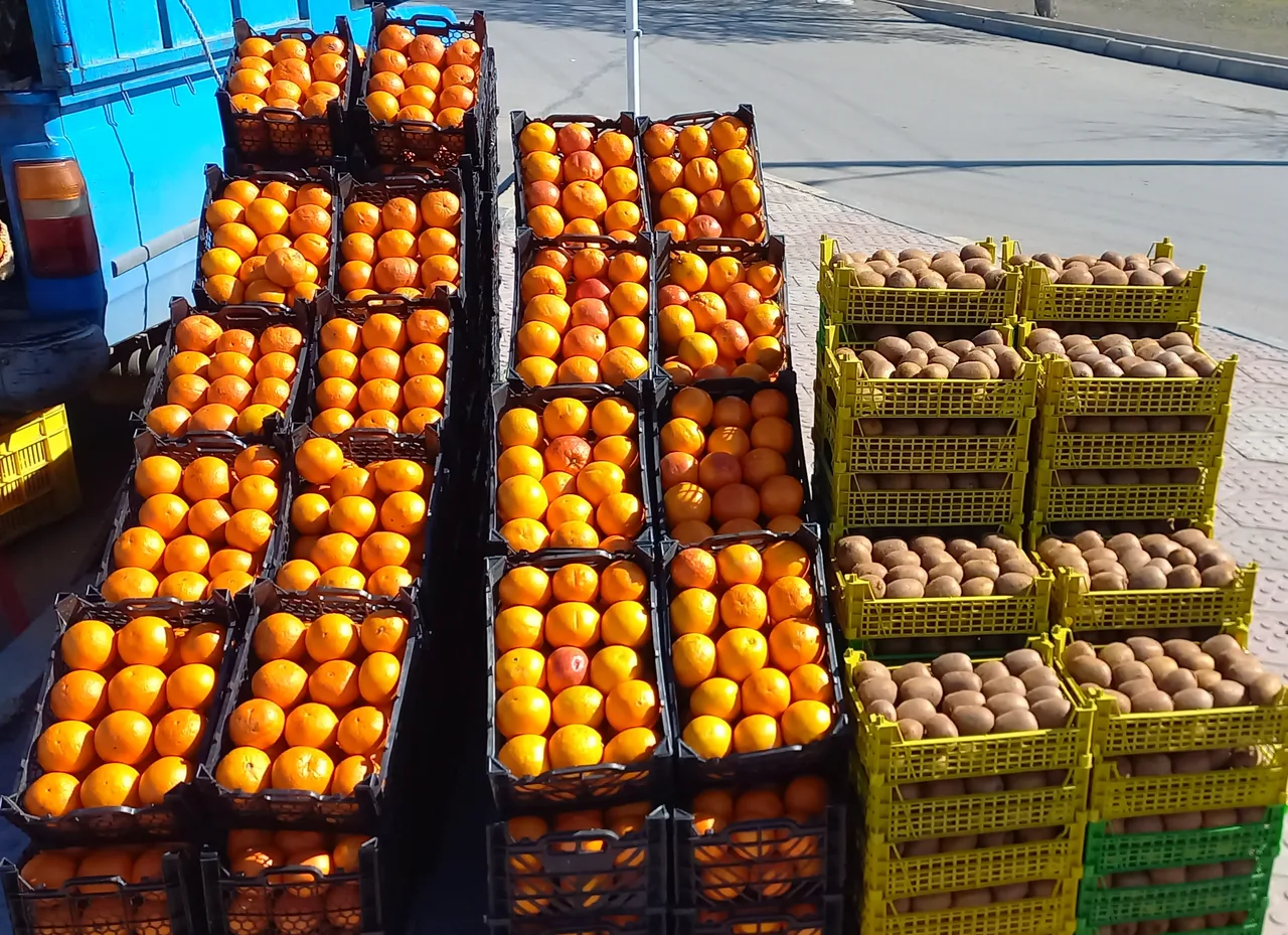 سوپر میوه اکبری - تصویر 3