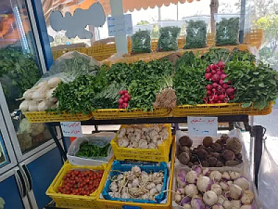 سوپر میوه مادر