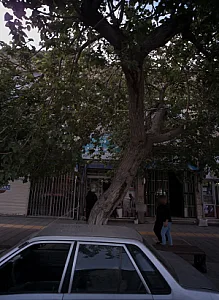 فروشگاه خشکبار و محصولات طبیعی
