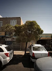 تعمیرگاه جلوبندی محمدرضا محمدیاری