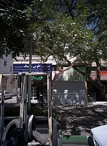 آجیل موعود