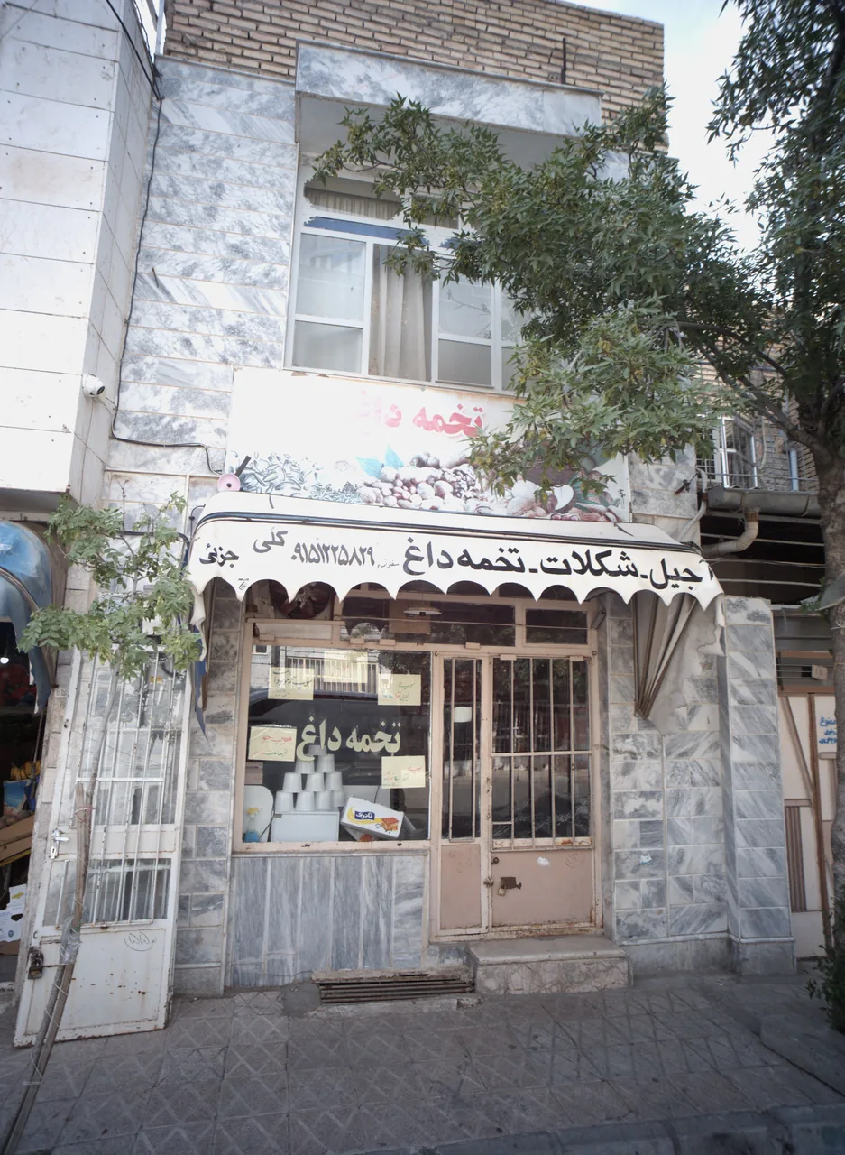 تخمه داغ ولایت