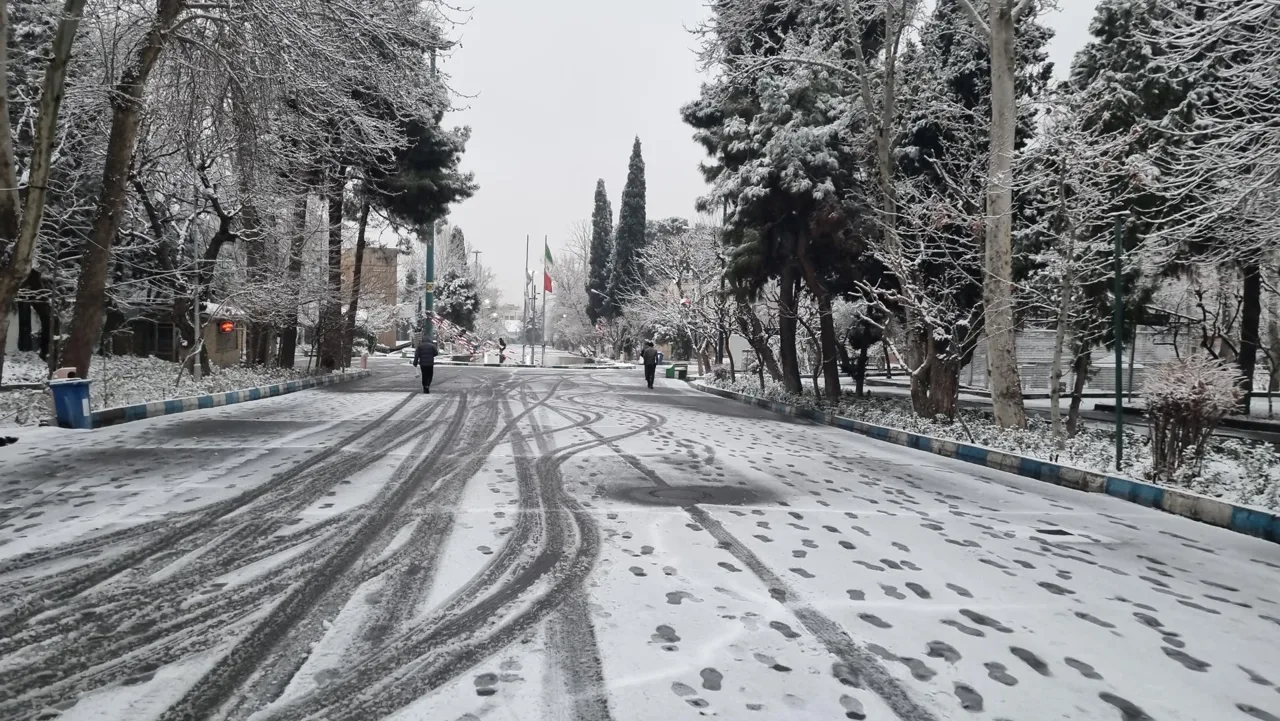 مجتمع خوابگاهی کوی دانشگاه تهران - تصویر 4