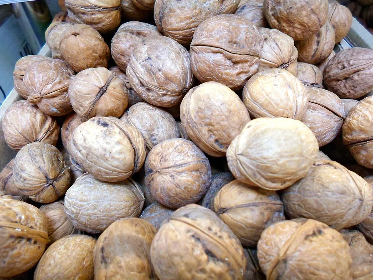 آجیل و خشکبار ونوس - تصویر 4