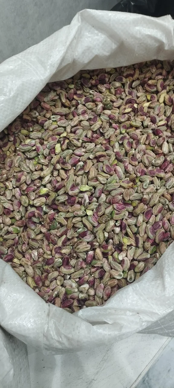 پسته امجدی(بت کن)