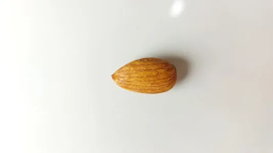 فروشگاه خشکبار کاشمرانه