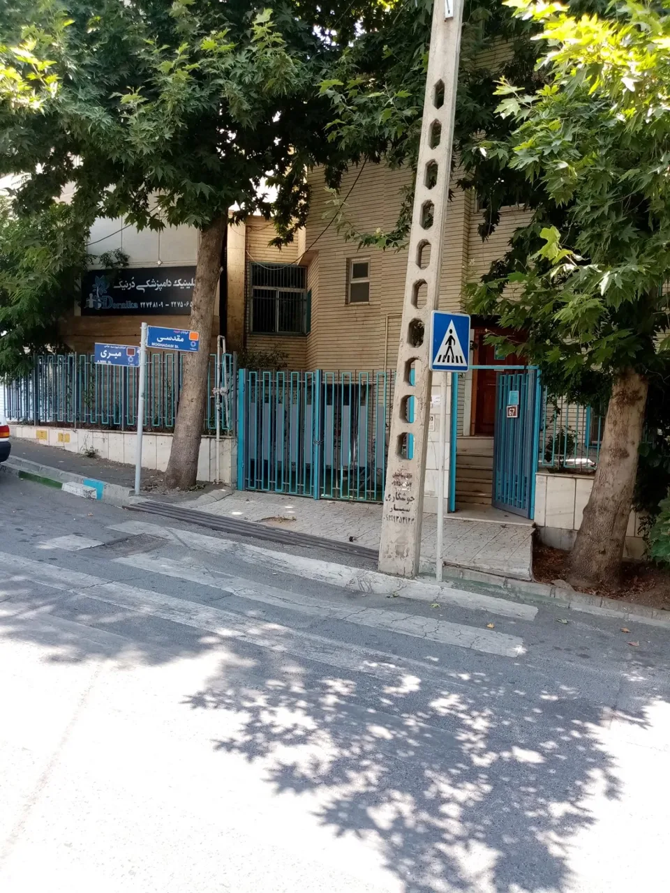 دامپزشکی درنیکا - تصویر 2