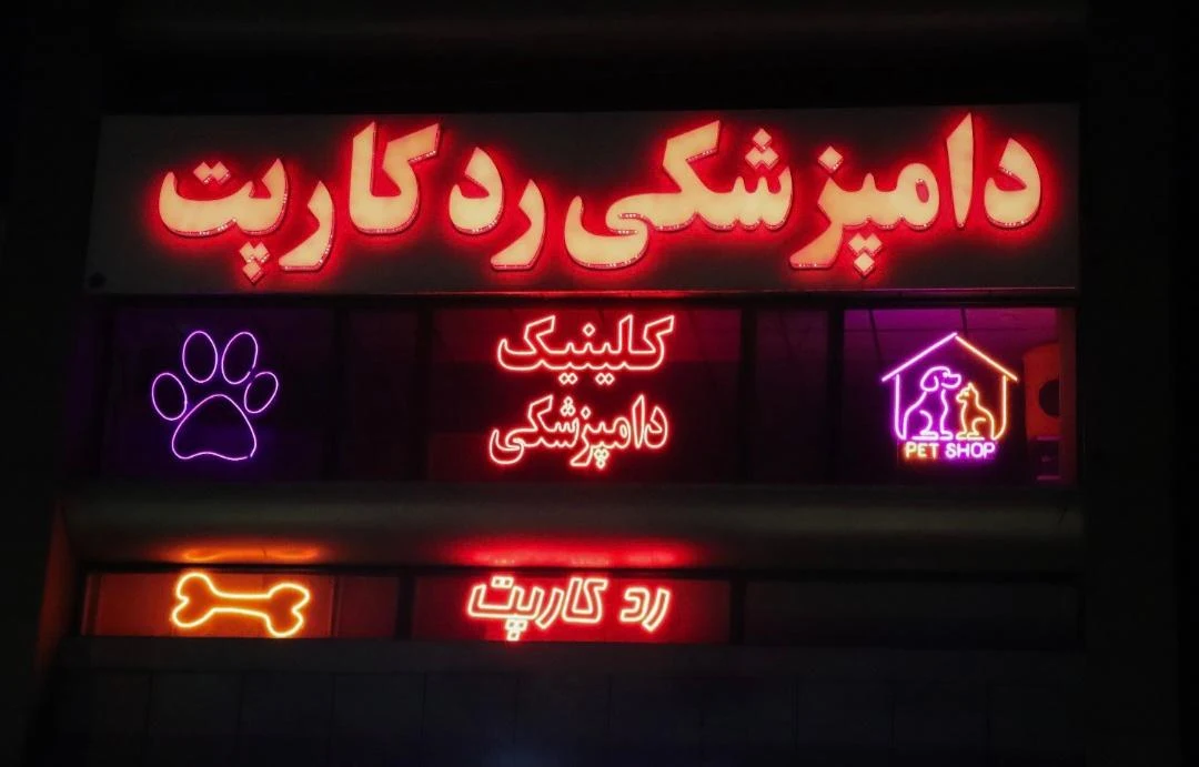 کلینیک دامپزشکی رد کارپت - تصویر 4