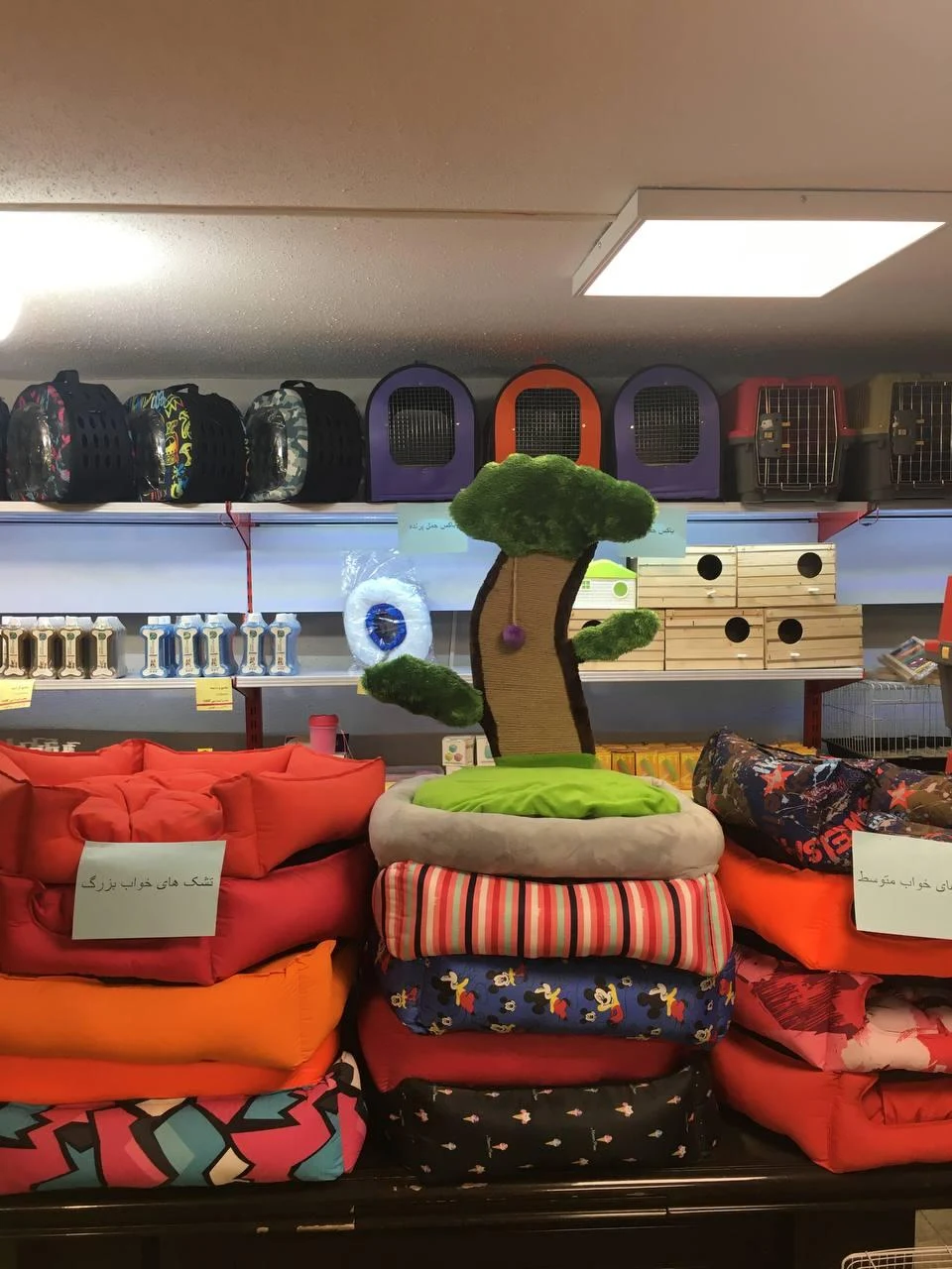 کلینیک دامپزشکی و پت شاپ آمازون - تصویر 4