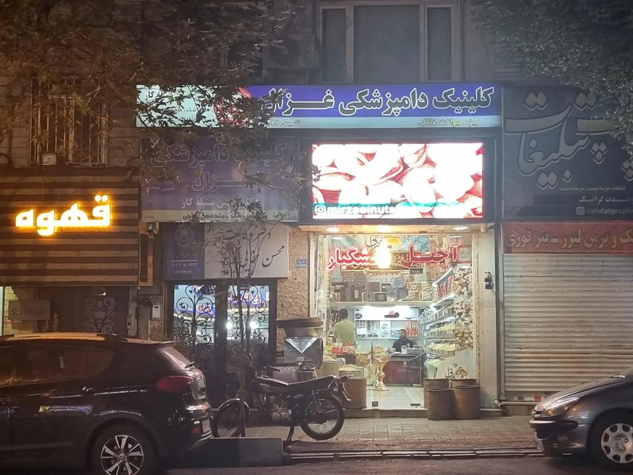 کلینیک دامپزشکی غزال - تصویر 5