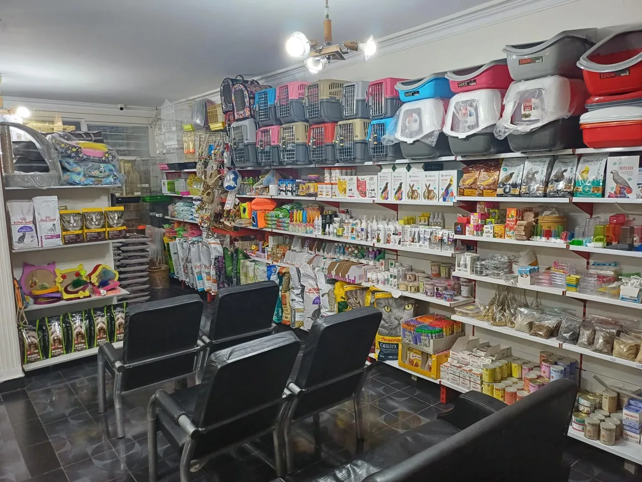 کلینیک دامپزشکی بهین - تصویر 5