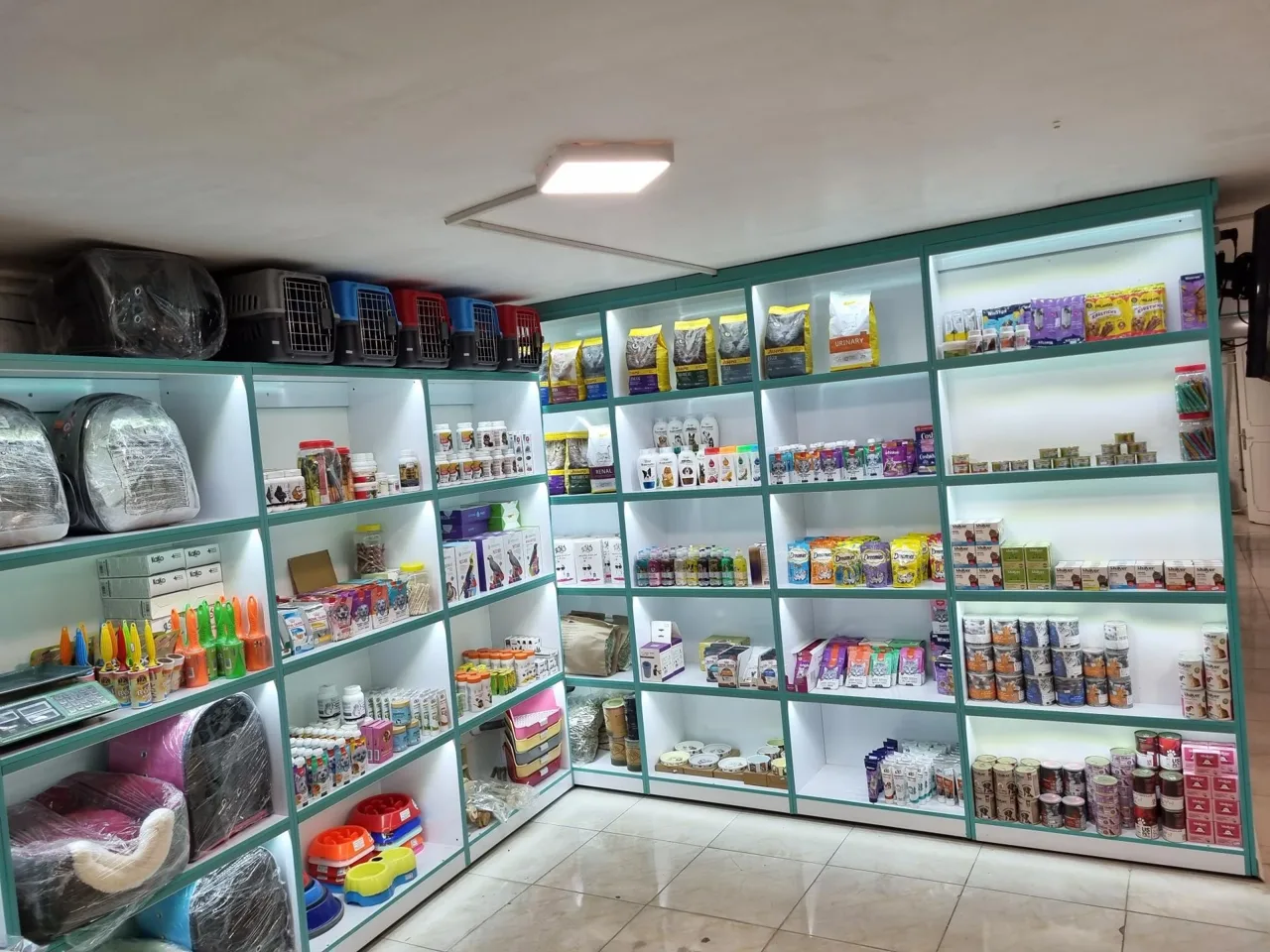 کلینیک دامپزشکی و پت شاپ بل - تصویر 2