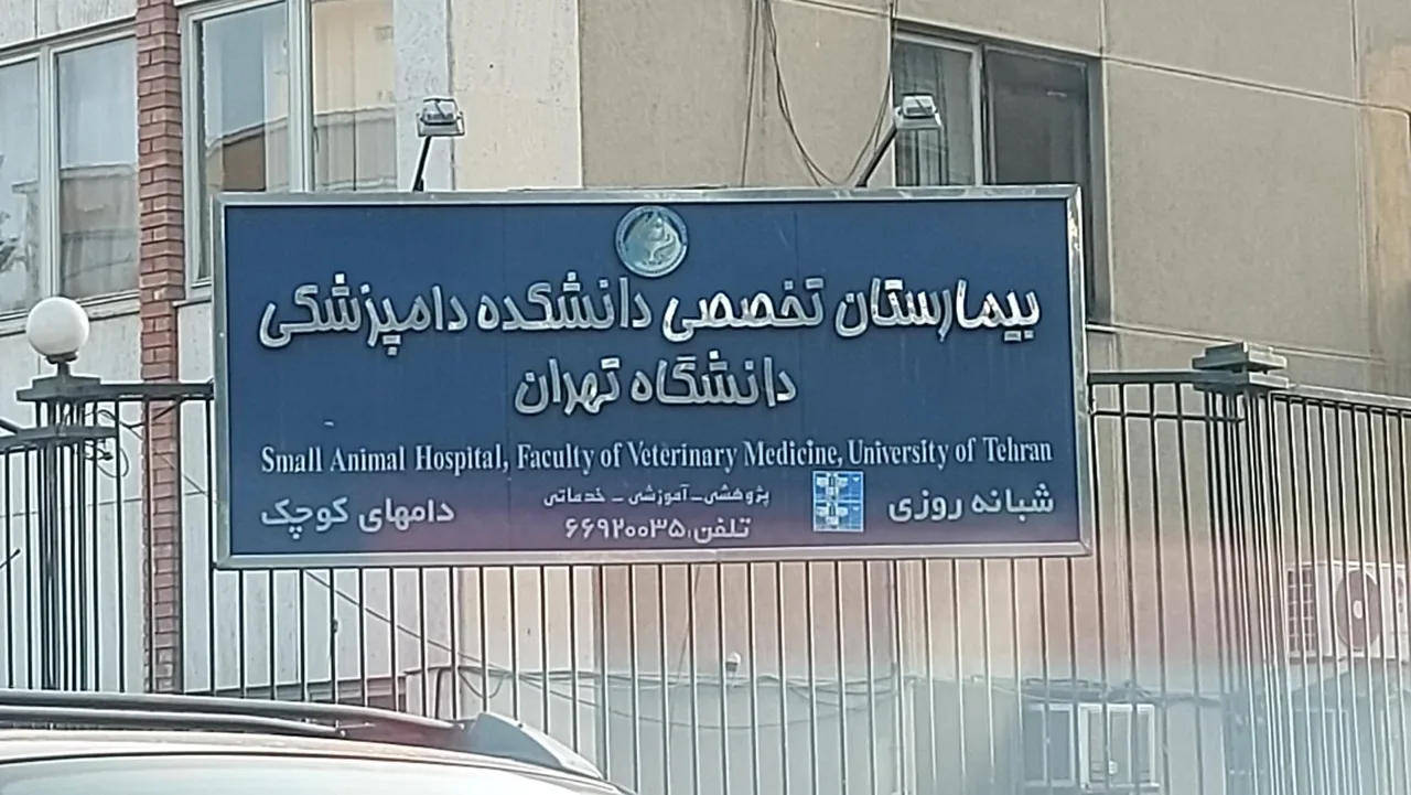 بیمارستان دام های کوچک دانشکده دامپزشکی - تصویر 4