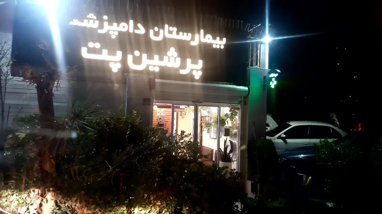 بیمارستان دامپزشکی پرشین پت - تصویر 2