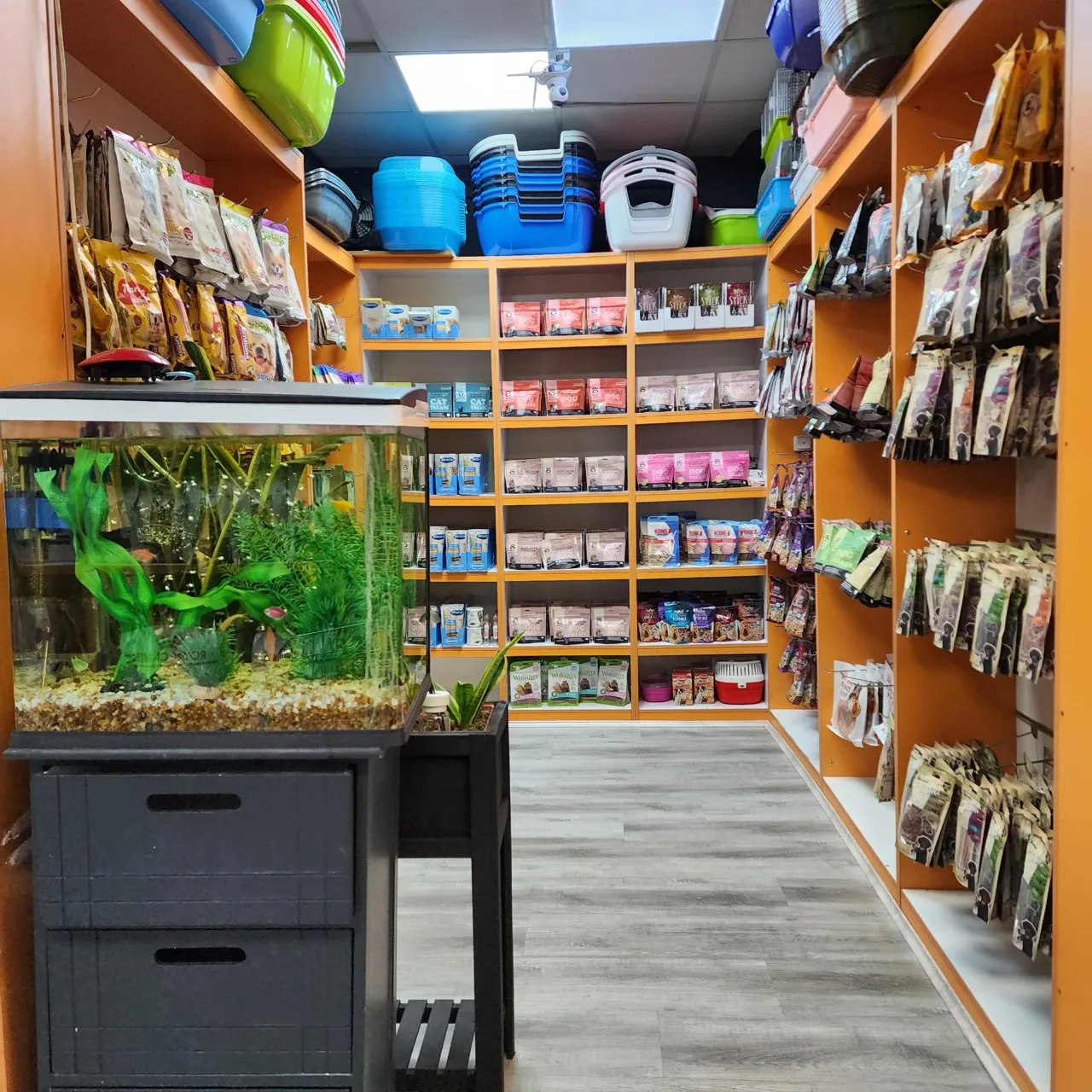 بیمارستان دامپزشکی پرشین پت - تصویر 3