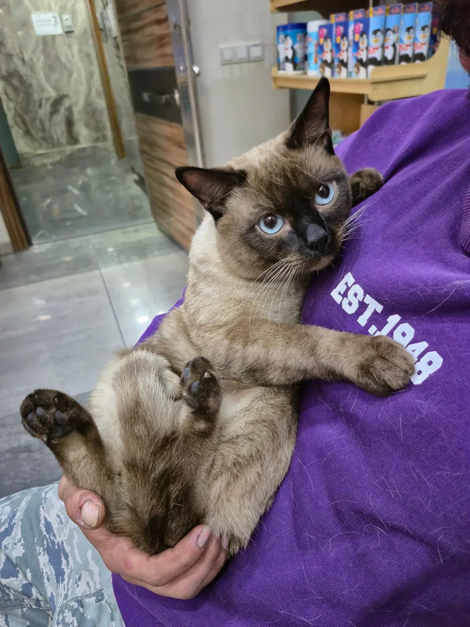 کلینیک دامپزشکی هدهد - تصویر 2