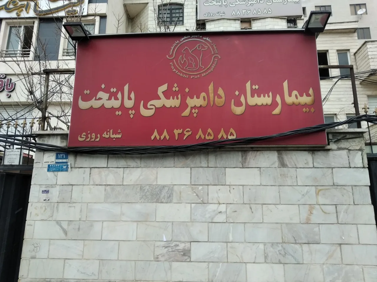بیمارستان دامپزشکی پایتخت - تصویر 2