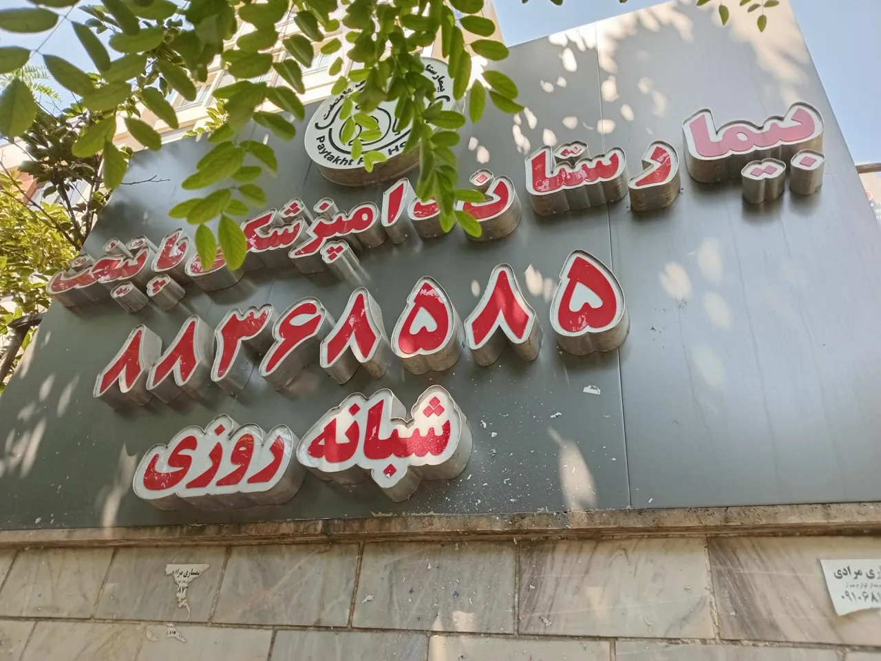 بیمارستان دامپزشکی پایتخت - تصویر 3