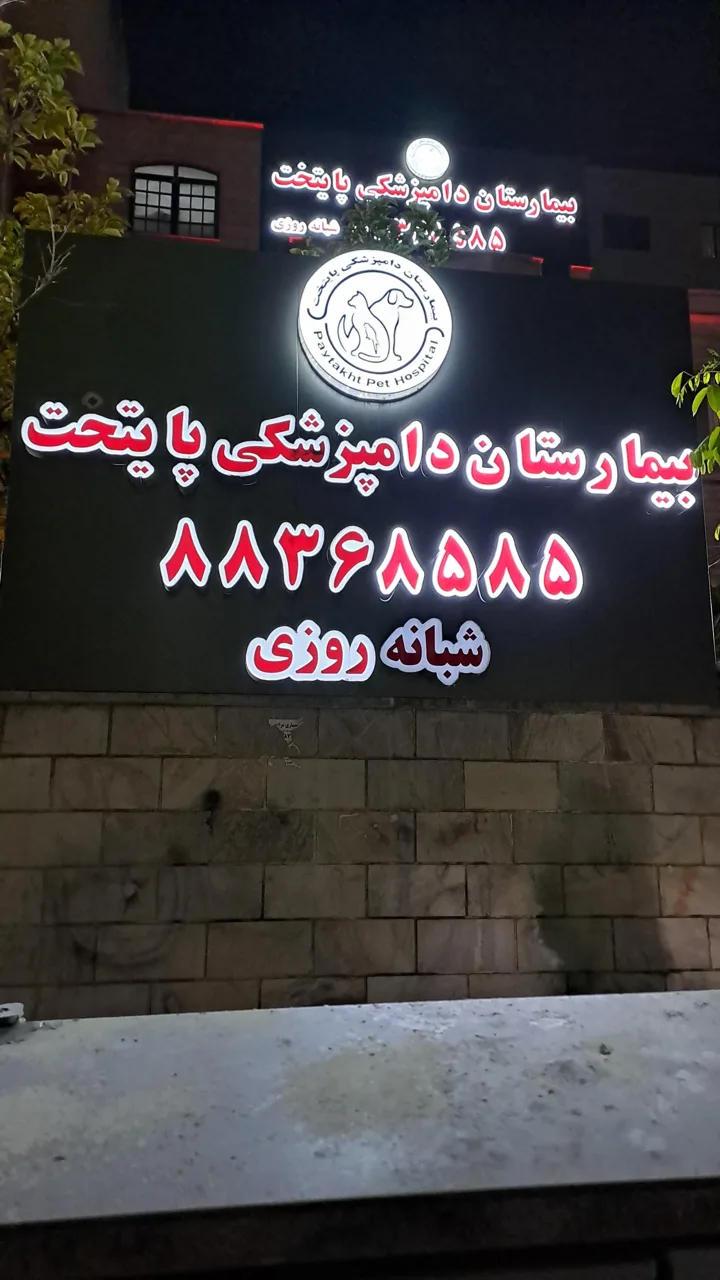 بیمارستان دامپزشکی پایتخت - تصویر 4
