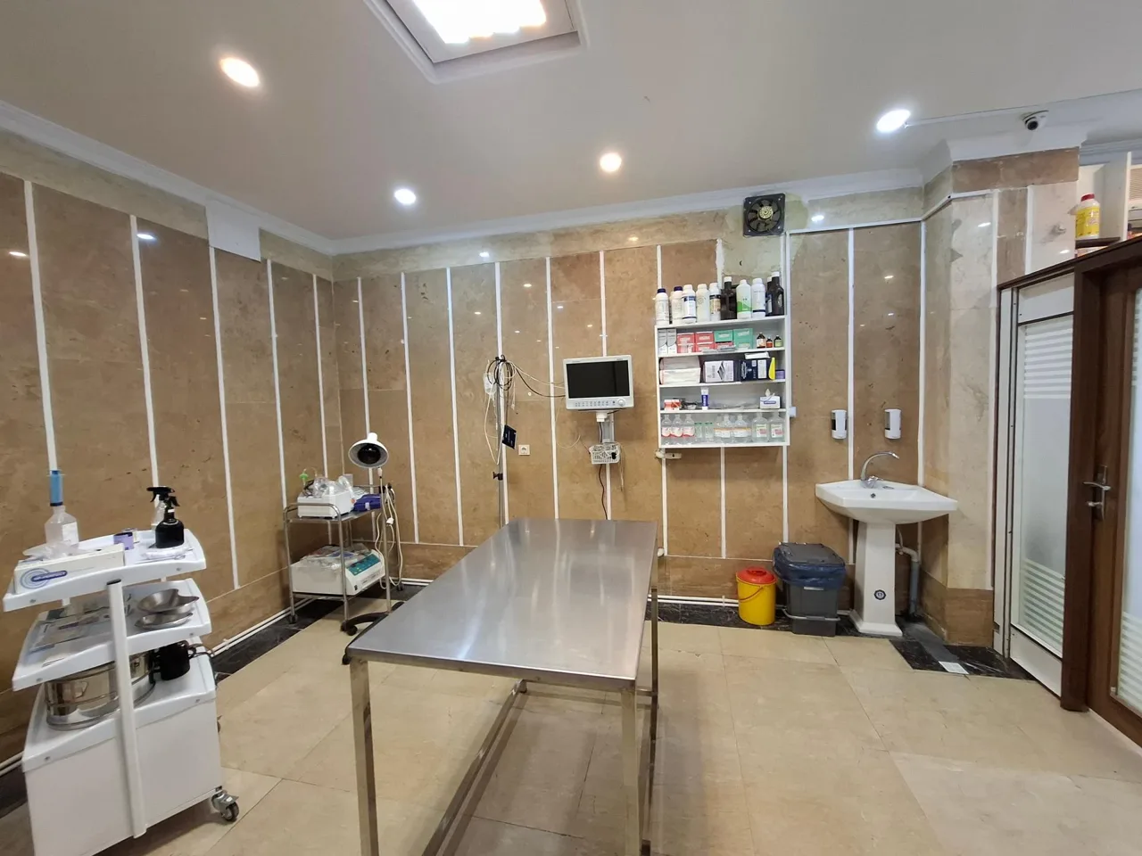 کلینیک دامپزشکی و پت شاپ مدیک - تصویر 3