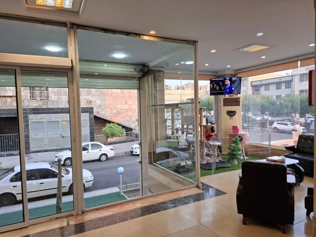 کلینیک دامپزشکی و پت شاپ مدیک - تصویر 5