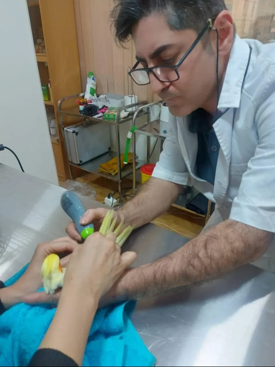 کلینیک دامپزشکی و پت شاپ ایرانا - تصویر 5