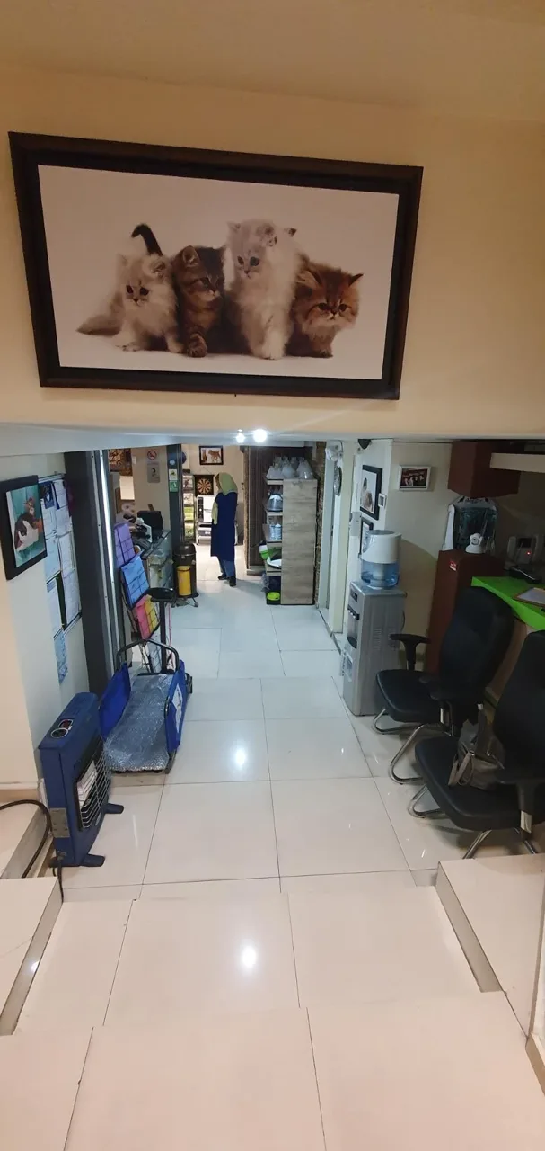 کلینیک دامپزشکی دکتر مشیری - تصویر 2