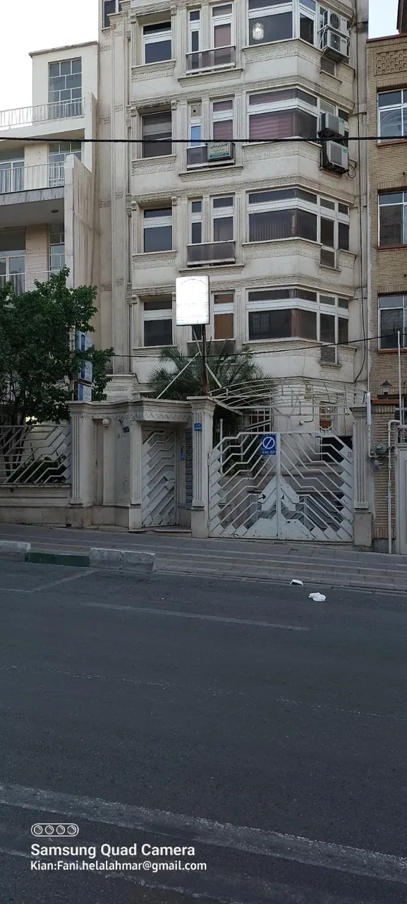 کلینیک دامپزشکی دکتر مشیری - تصویر 4