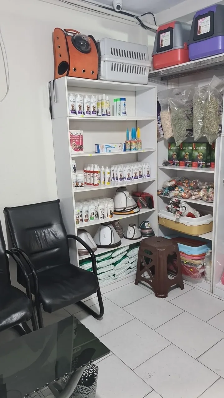کلینیک دامپزشکی ماهور - تصویر 3