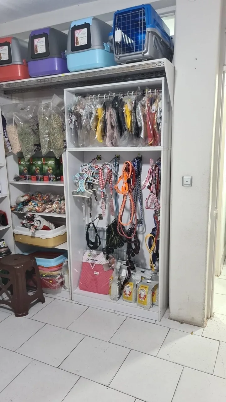 کلینیک دامپزشکی ماهور - تصویر 4