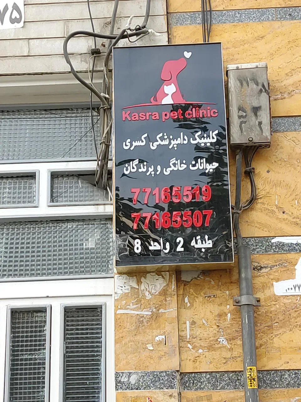 کلینیک دامپزشکی کسری - تصویر 2