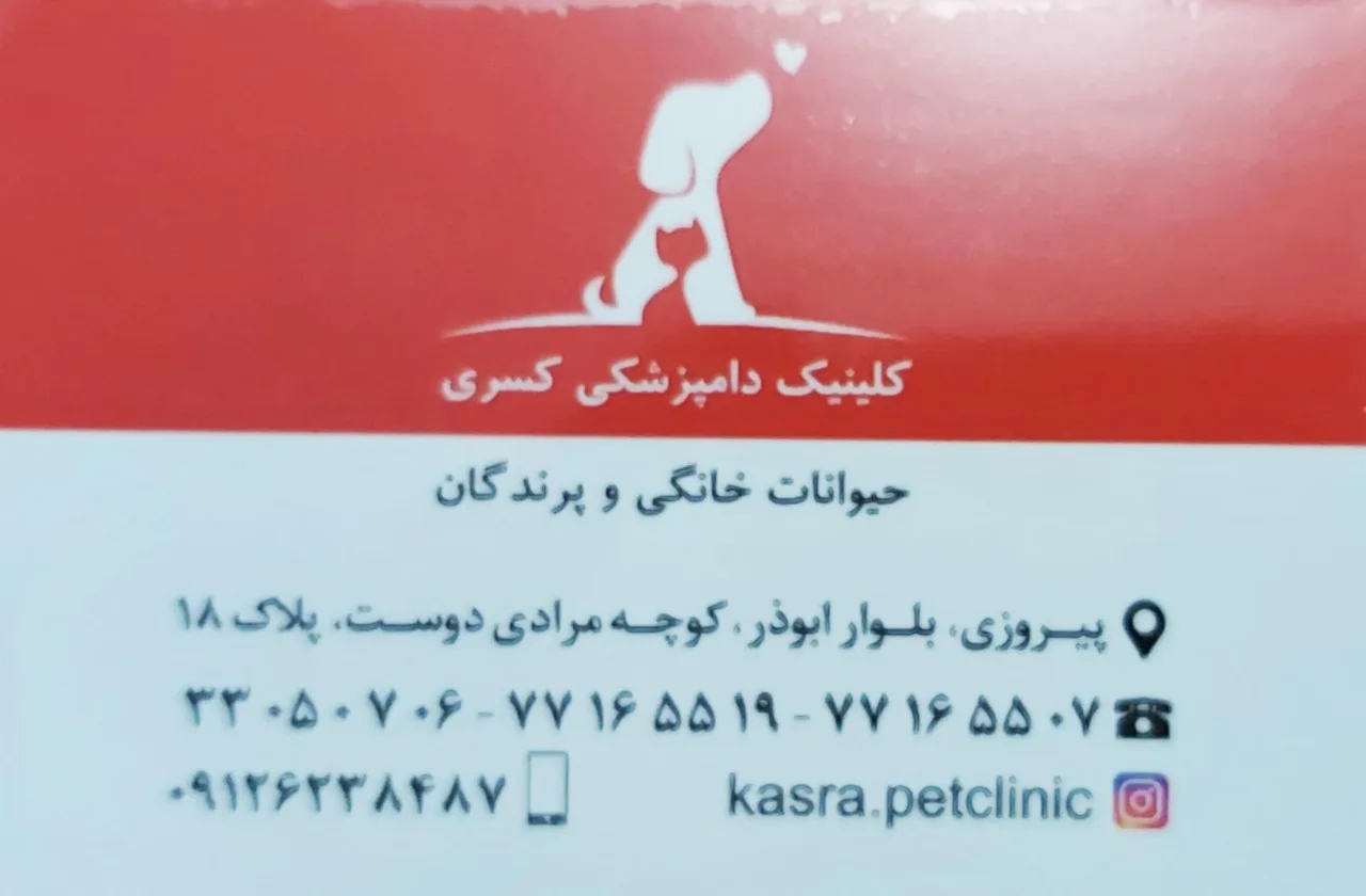 کلینیک دامپزشکی کسری - تصویر 5