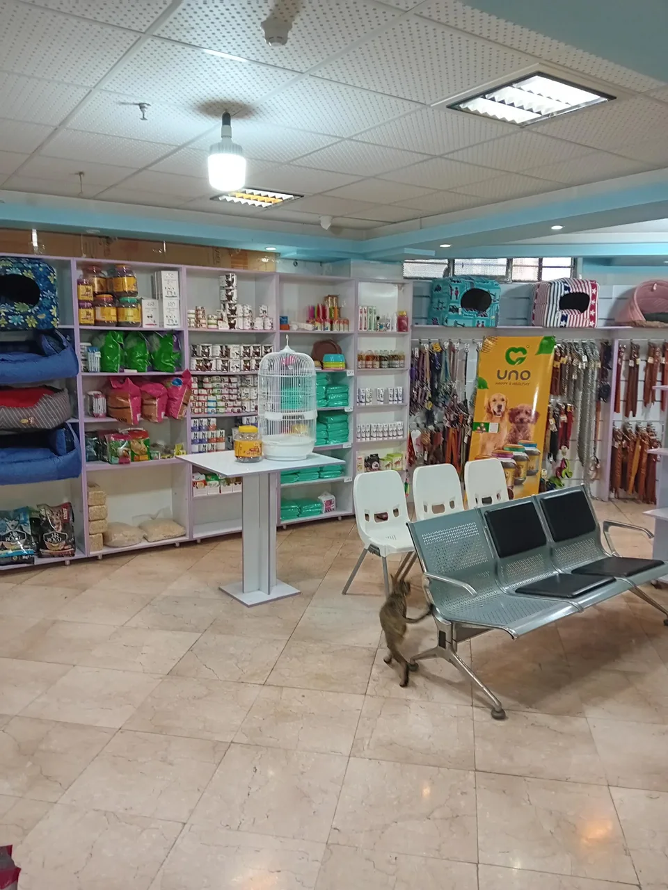 کلینیک دامپزشکی آبان - تصویر 4