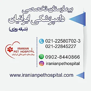 بیمارستان دامپزشکی ایرانیان