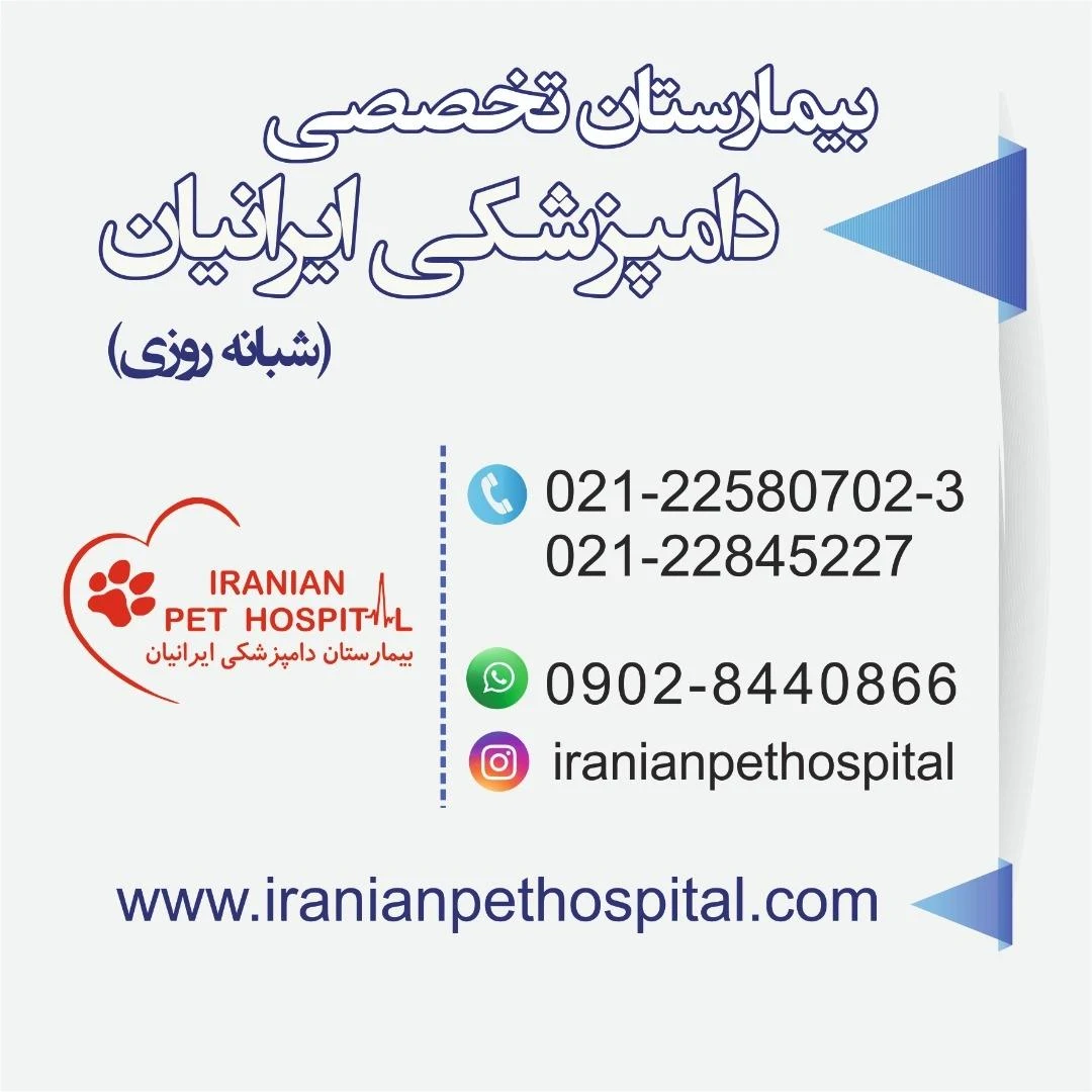 بیمارستان دامپزشکی ایرانیان